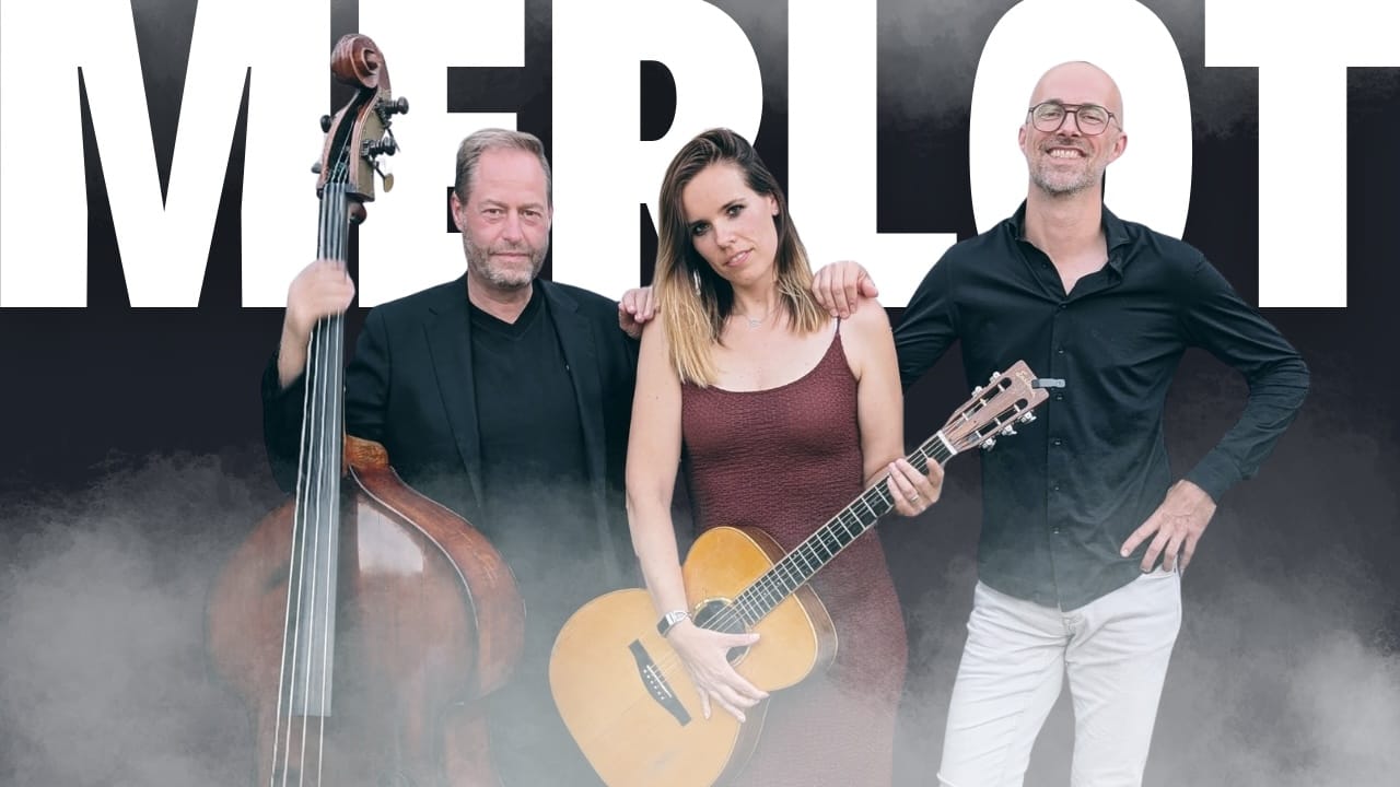 akoestische rockband